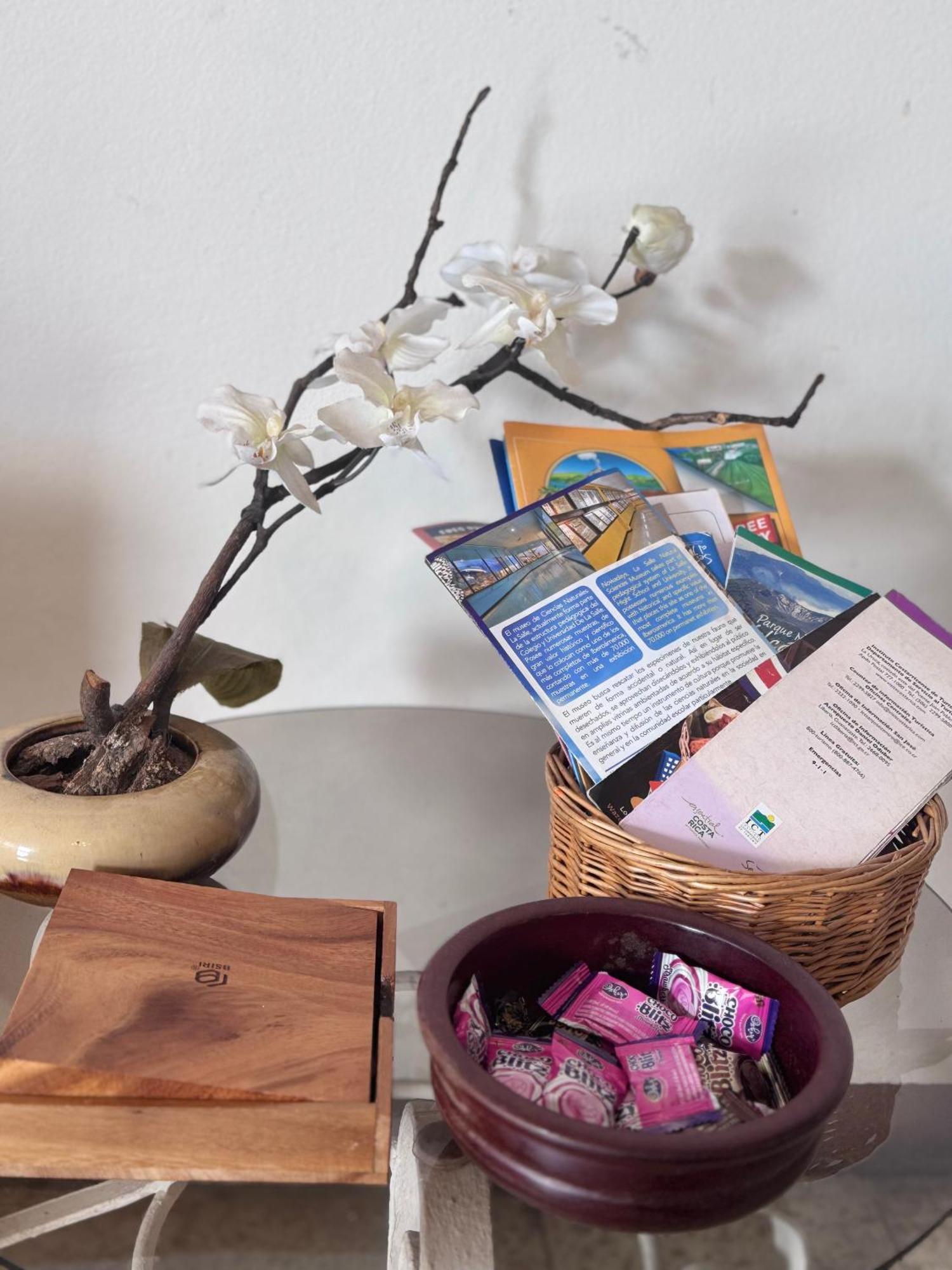 Tico Experience In A Family-friendly Neighborhood San Jose (San Jose)