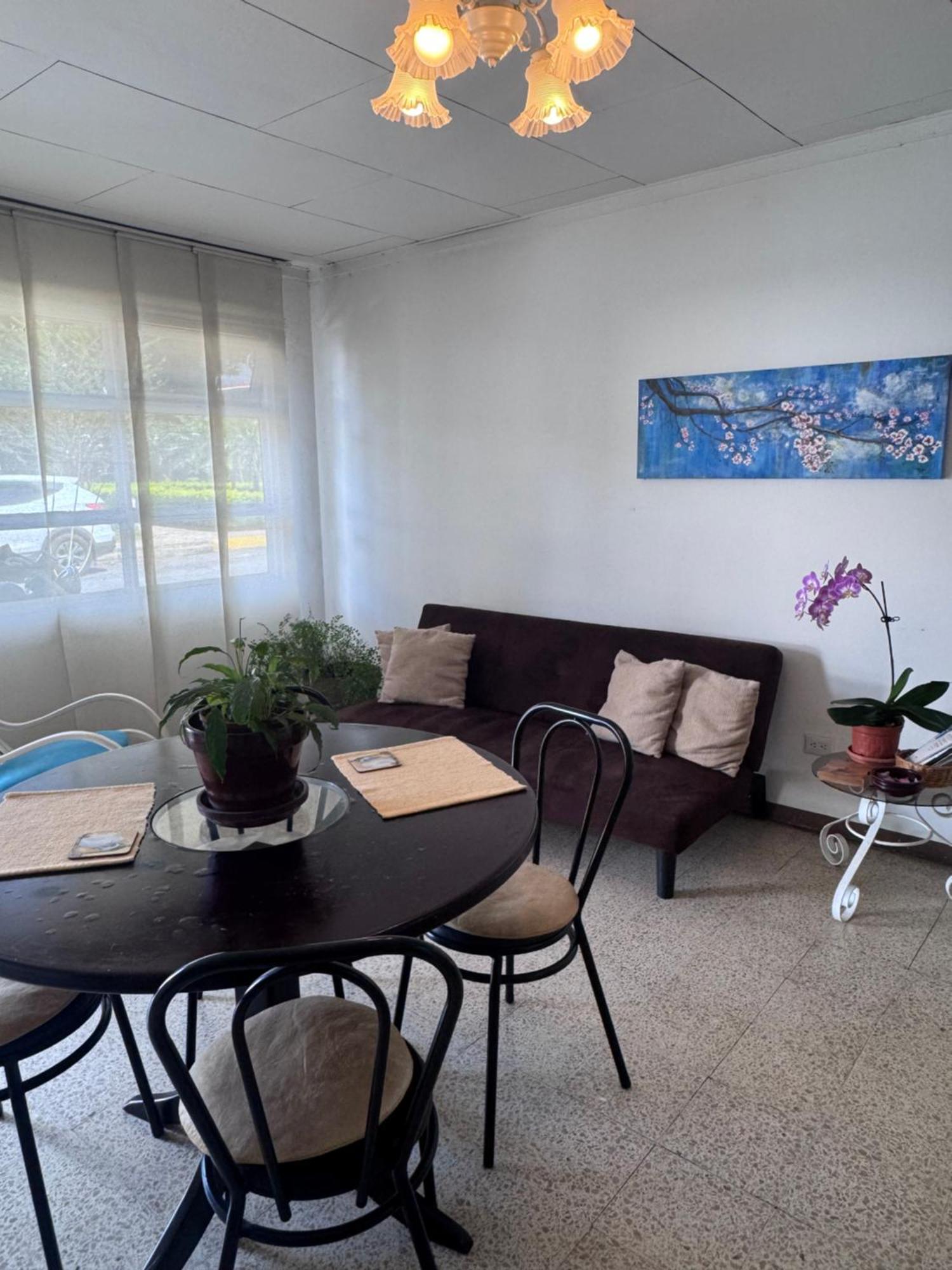Apartment Tico Experience In A Family-friendly Neighborhood *