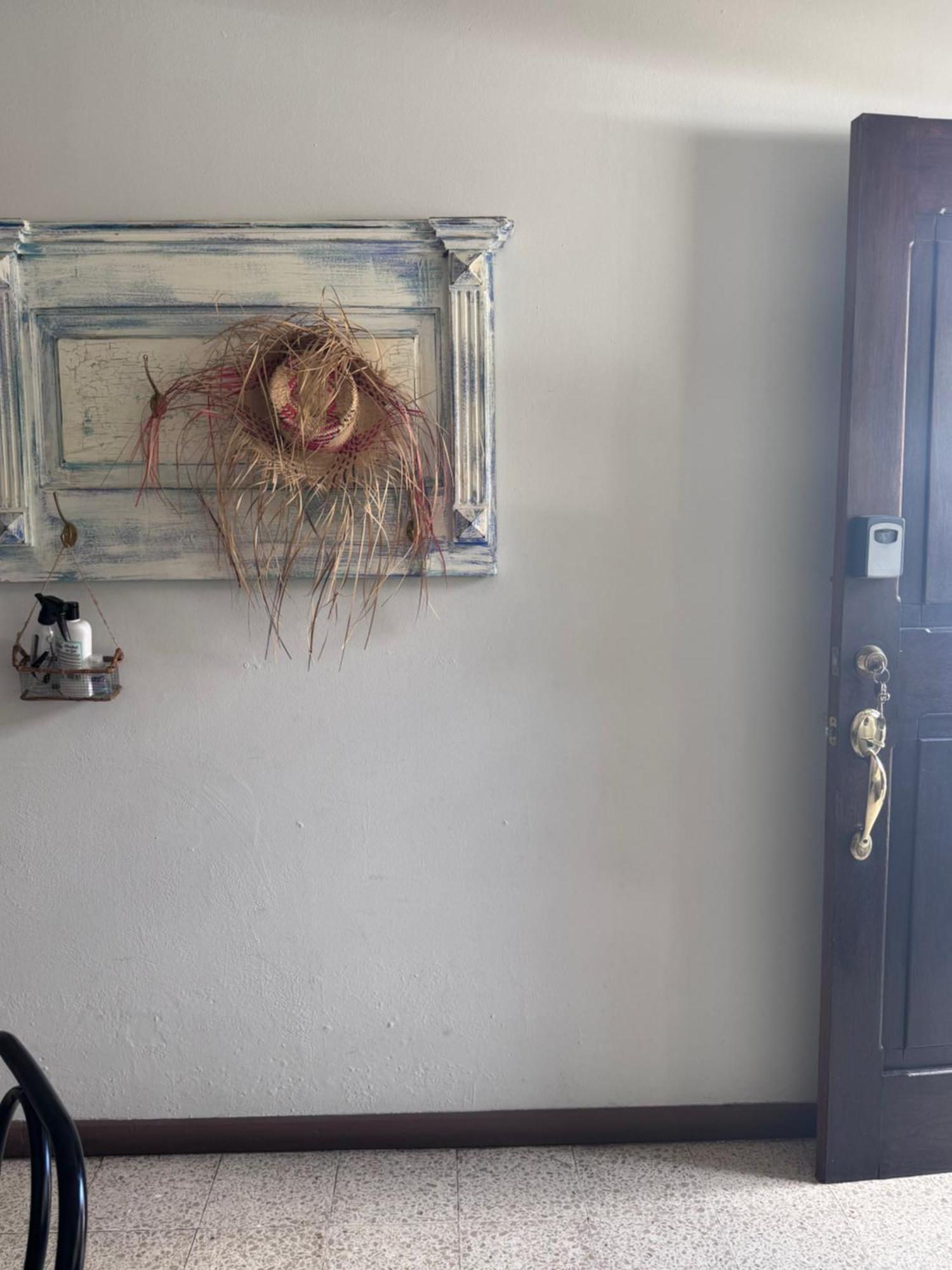 Appartement Tico Experience In A Family-friendly Neighborhood
